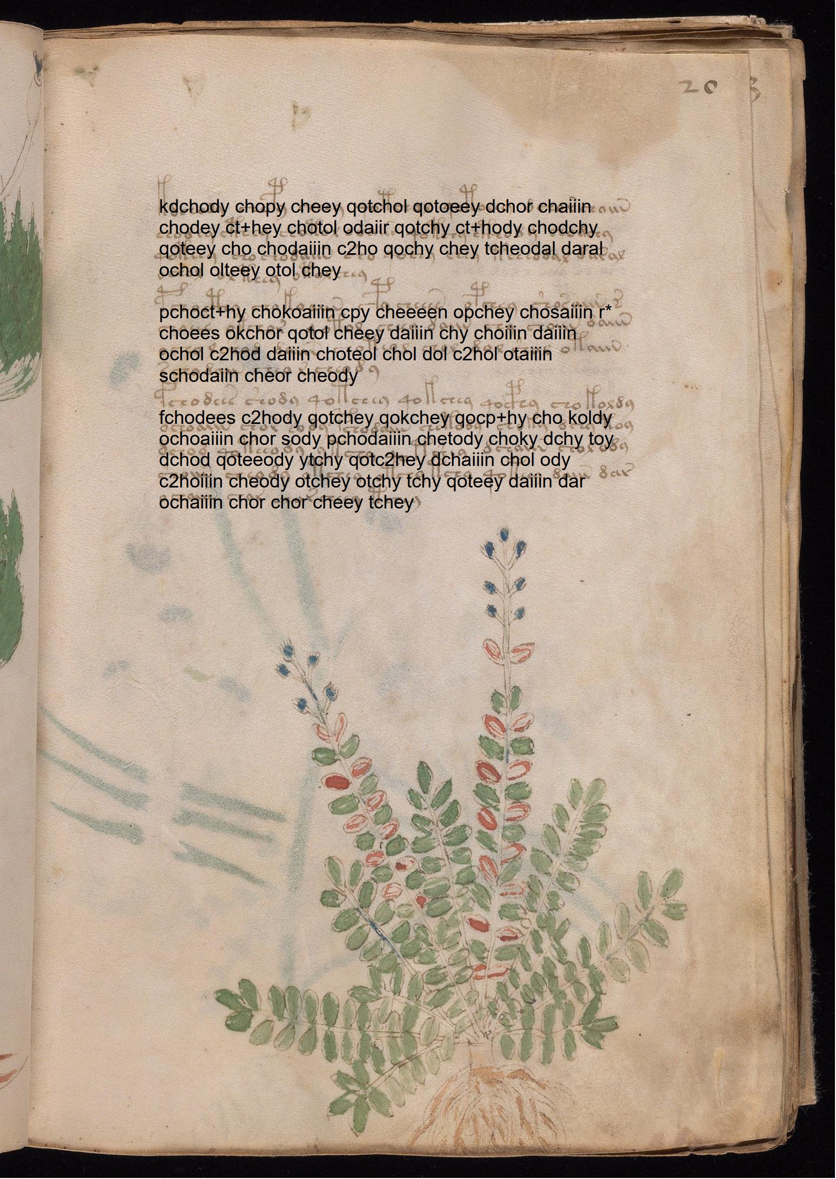 Folio 20r glyph overlay on parchment